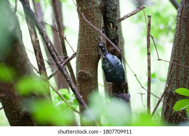 Booby Trap Images Stock Photos Vectors Shutterstock