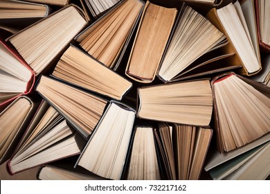Book. - Shutterstock ID 732217162