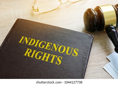 Book About Indigenous Rights Law And Gavel.