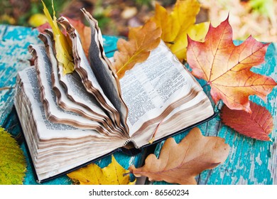 Book Autumn Leaves On Bench Park Stock Photo 86560234 | Shutterstock