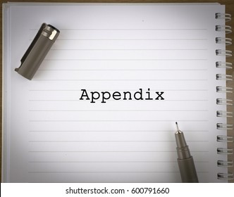 appendix book