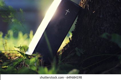 book with cross in nature
