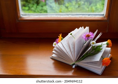 Book, Flowers And Window. Read, Rest. Cozy And Hygge Concept. Flat Lay, Top View. Reading Time