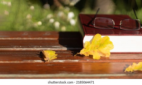 A book with glasses on a bench in the autumn park. Autumn still life, on the bench lies a book with glasses and a yellow leaf. Background with copy space