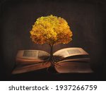 Book of life, knowledge, wisdom - old tree and its roots on open pages of a magic book; 