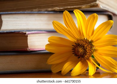 the book is on the table