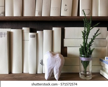 Book Shelf In The Dental School Library, White Cover For Filling Texts