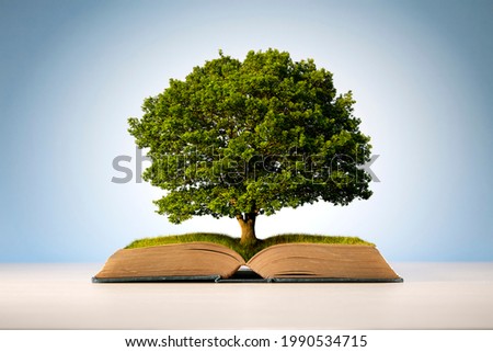 Book or tree of knowledge concept with an oak tree growing from an old open book