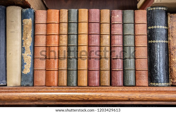 Books Lined On Shelf Stock Photo Edit Now