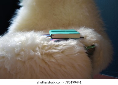 Books On A Sheepskin Rug