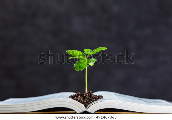 Foto De Stock Sobre Libros Y Plantas (editar Ahora) 491467063