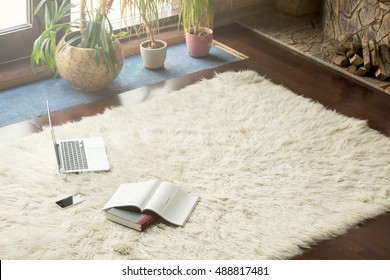 Books, smartphone and laptop lying on white carpet in modern luxury living room interior, cozy place for reading, studying and relaxing at home, flowers and fireplace with logs on the background