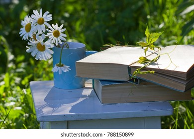 Books in the summer garden. Bouquet of daisies in mug.