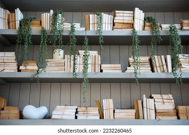 Bookshelf with plants modern decor for virtual office backgrounds, studio backdrop, print large on a back wall