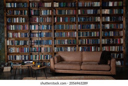 Bookshelves in the library. Large bookcase with lots of books. Sofa in the room for reading books. Library or shop with bookcases. Cozy book background. Bookish bookstore bookshop.