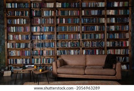 Bookshelves in the library. Large bookcase with lots of books. Sofa in the room for reading books. Library or shop with bookcases. Cozy book background. Bookish bookstore bookshop.