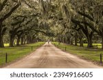 Boone Hall Plantation in Charleston, South Carolina, USA