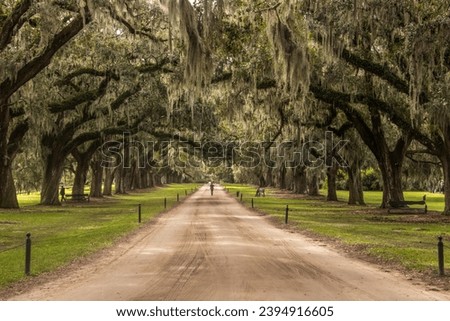 Boone Hall Plantation in Charleston, South Carolina, USA