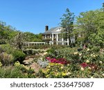 Boone Hall Plantation, garden in bloom 