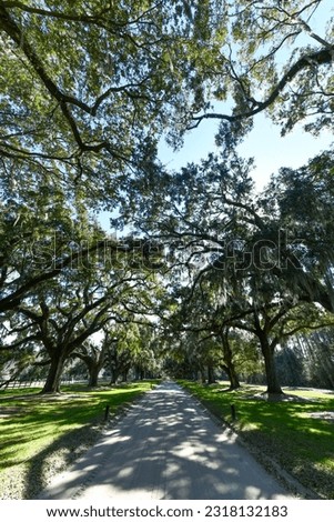 Boone Hall Plantation in Mount Pleasant, South Carolina. The plantation is one of America's oldest plantations still in operation.