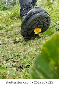 Boot about to trample flower