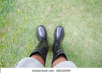 Boot shoe.