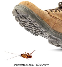 Boot Steps On A Dead Cockroach Isolated On The White Background - Concept Of A Pest Control