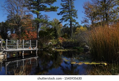 Boothbay, ME / USA - October 19, 2019: Small Pond In The Middle Of The Coastal Maine Botanical Gardens