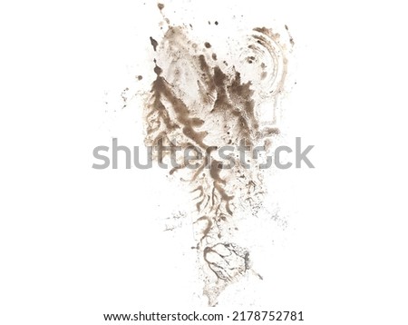 Bootprint isolated on white background close up