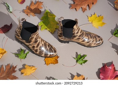 910 Leopard print boots Images, Stock Photos & Vectors | Shutterstock