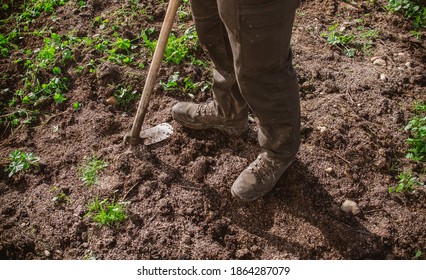 Boots Stepping On The Ground With Hoe And Rake For Agriculture, Ecologic Farm Work And Gardening