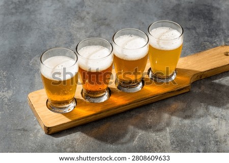 Boozy Refreshing IPA Craft Beer Flight in Small Glasses