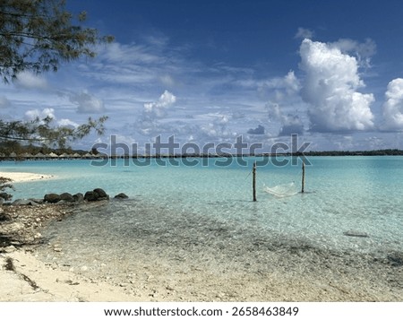Bora bora hamock on beach