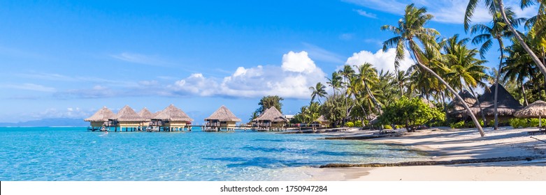 Bora Bora Wallpaper High Res Stock Images Shutterstock