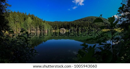 Similar – Image, Stock Photo Dam in the Black Forest