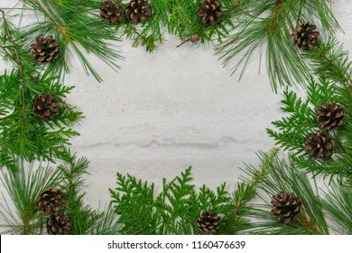 A border of cedar, white pine, and tamarack branches along with scotch pine  cones with copy space in the middle