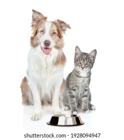 Border Collie Dog And Kitten Sit Together With Empty Bowl. Isolated On White Background