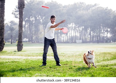 A Border Collie dog playing with its owner on a frisk morning in the park.