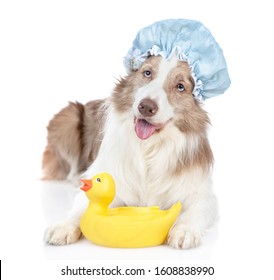 dog shower cap