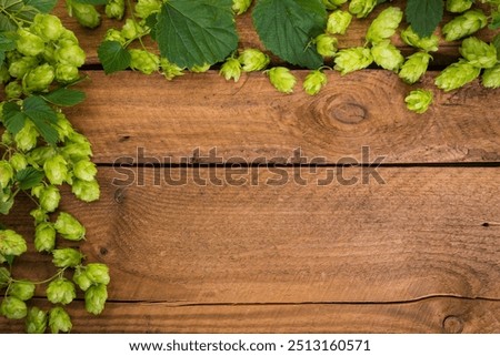 Border of Common hops or Humulus lupulus vines with ripe fruits and leaves on rustic wooden background