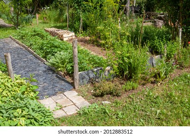 Border Of Condiment Plants In Front Of Rows Of Vegetables And A Slate Path In An Old Vegetable Garden In The Countryside 