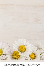 Border With Daisy Flowers Over Wooden Surface