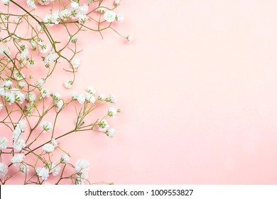 Border of delicate little white flowers on pink background from above. Space for text. Flat lay style.