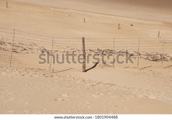 A border fence built on beach sand. Immigration\
control concept image. 