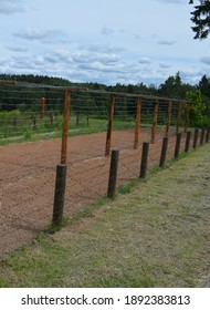 Border Fence Old School USSR Cold War Type