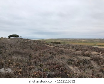  Border Field State Park