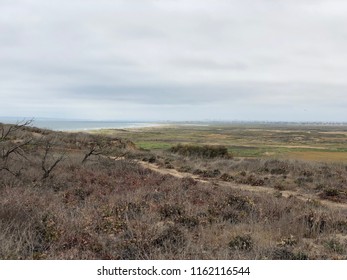  Border Field State Park