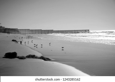 Border Field State Park. Border Field Beach In Ysidro California Which Borders Tijuana Mexico. Black And White Art Print Conversion With The Pacific Ocean, Sea Birds, Border Fence. 
