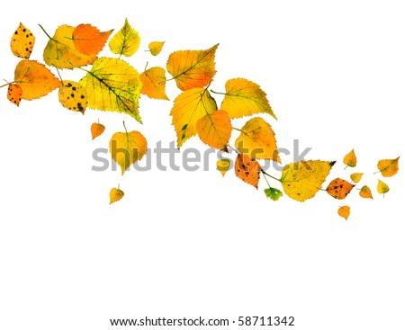 Border Frame of colored autumn leaves falling isolated on white background
