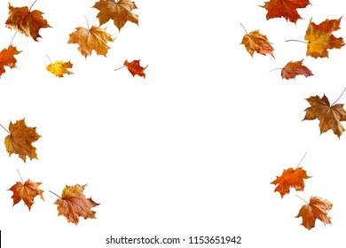 marco fronterizo de hojas de otoño coloridas aisladas en blanco